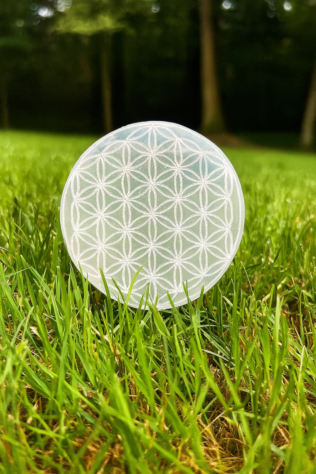 Fleur de Vie Sélénite : Un Outil Puissant pour Recharger Vos Cristaux