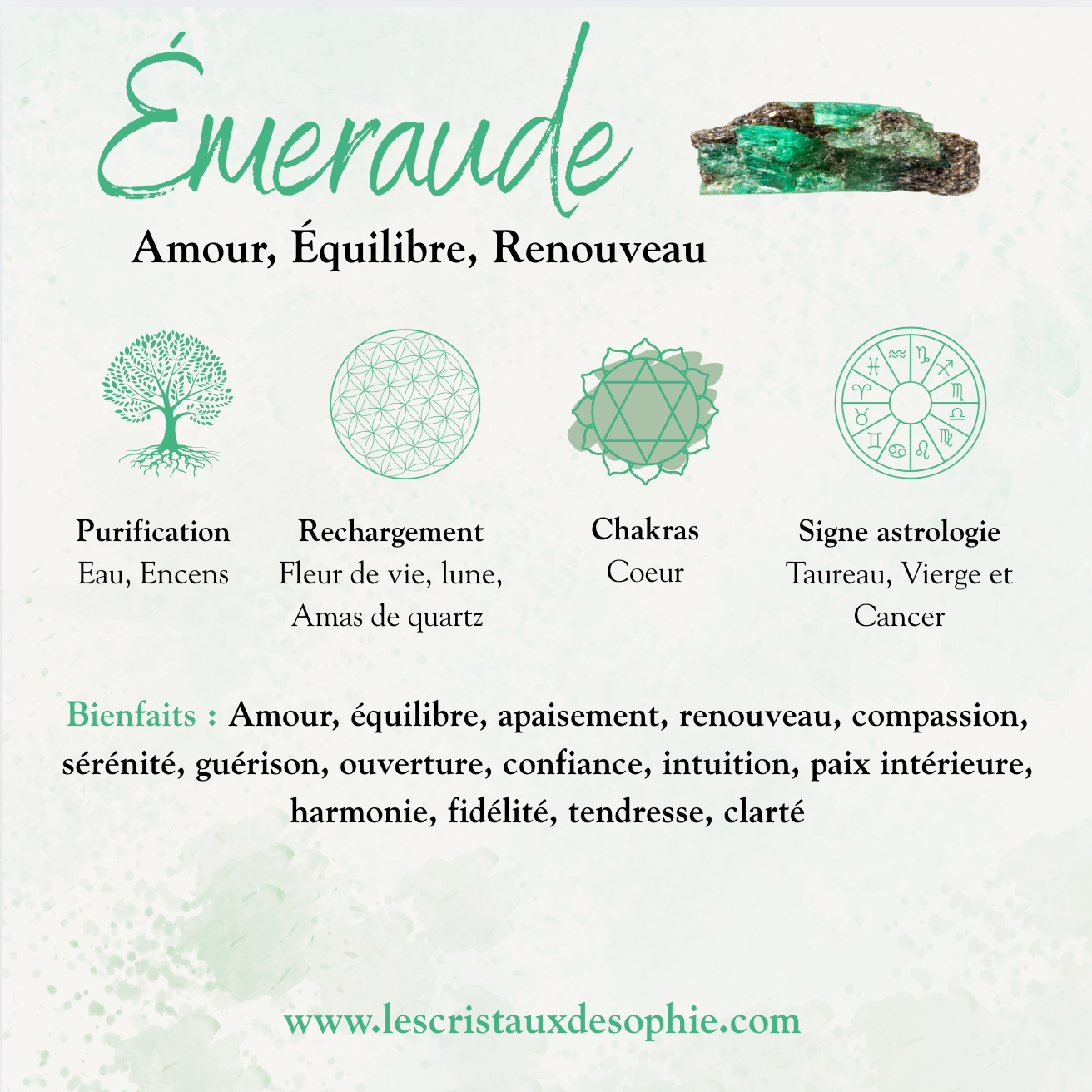 Boucles d’oreilles émeraude en acier argenté – Élégance naturelle et raffinement