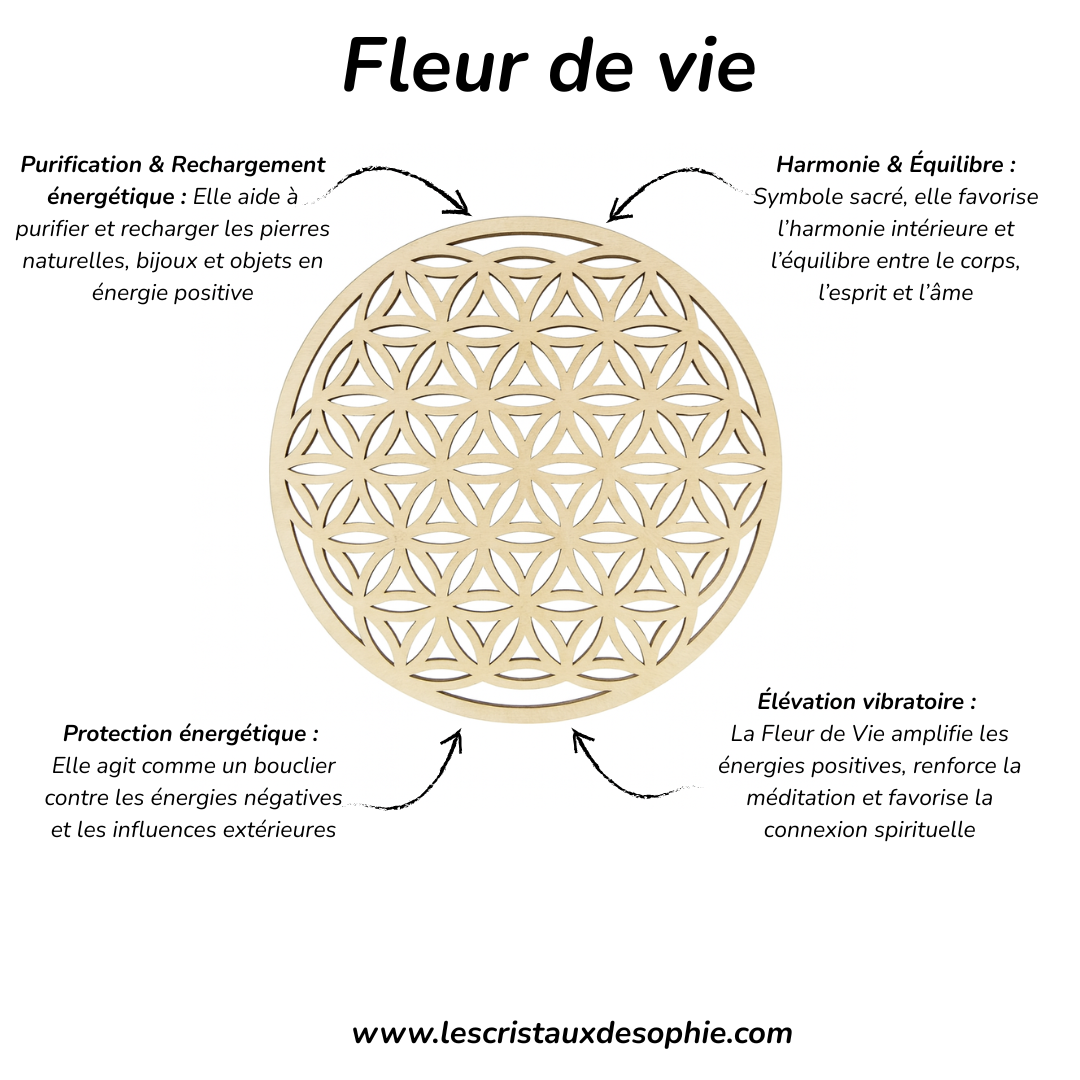 Duo Fleur de Vie & Palo Santo – Purification Énergétique & Rechargement des Pierres