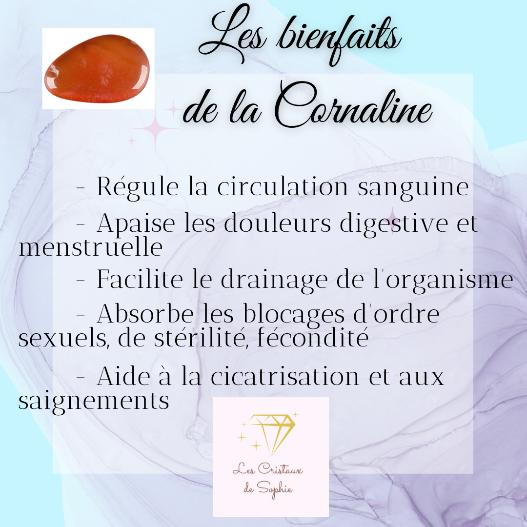 🌙 Bracelet Féminin Sacré – Pierre de Lune, Cornaline & Malachite pour le Cycle en Douceur