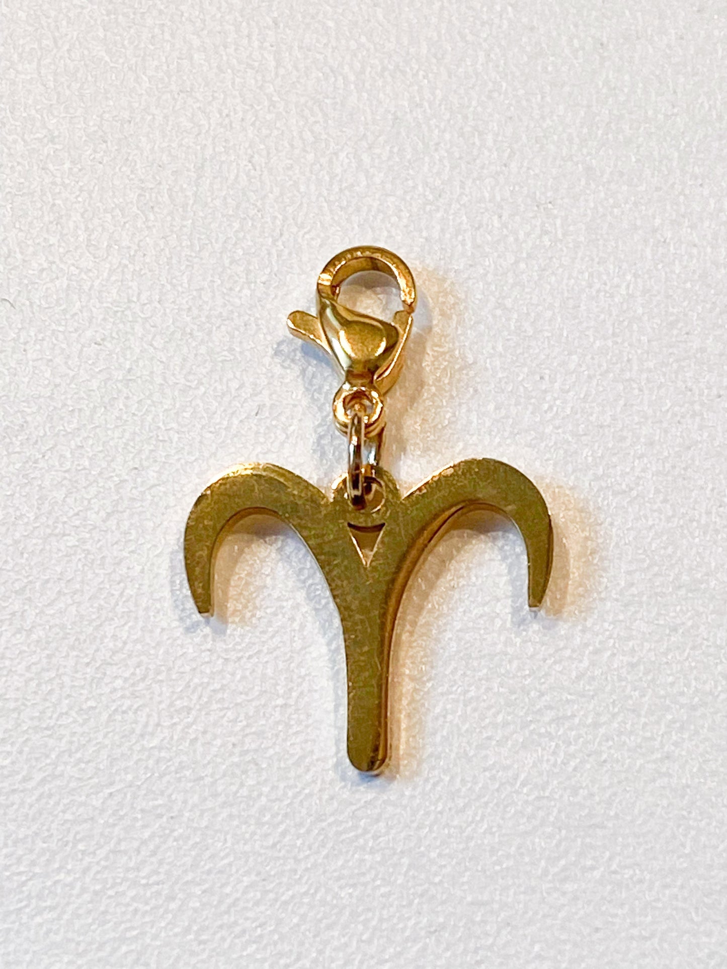 Charm astrologique en acier inoxydable doré