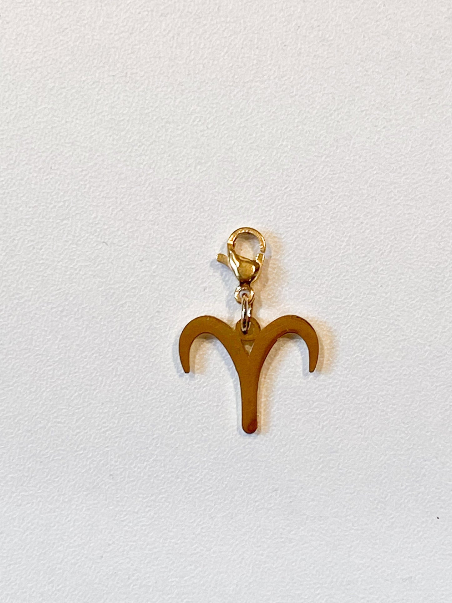 Charm astrologique en acier inoxydable doré