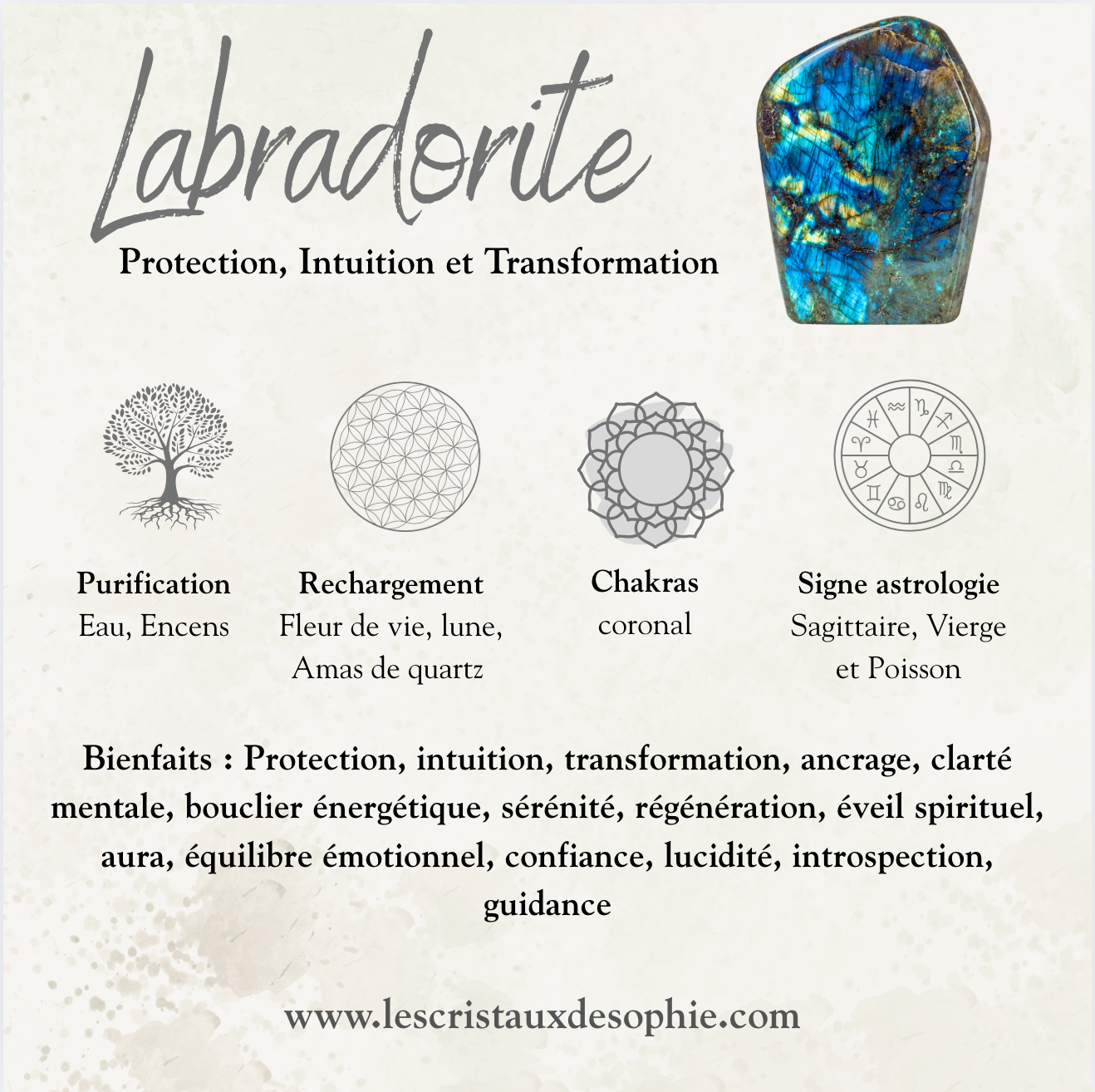 Collier Pierre Labradorite Naturelle – Protection & Lumière sur Acier Argenté