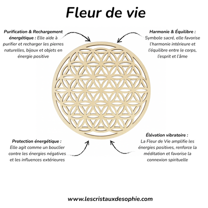 Duo Fleur de Vie & Sauge Blanche – Purification Énergétique & Rechargement des Pierres