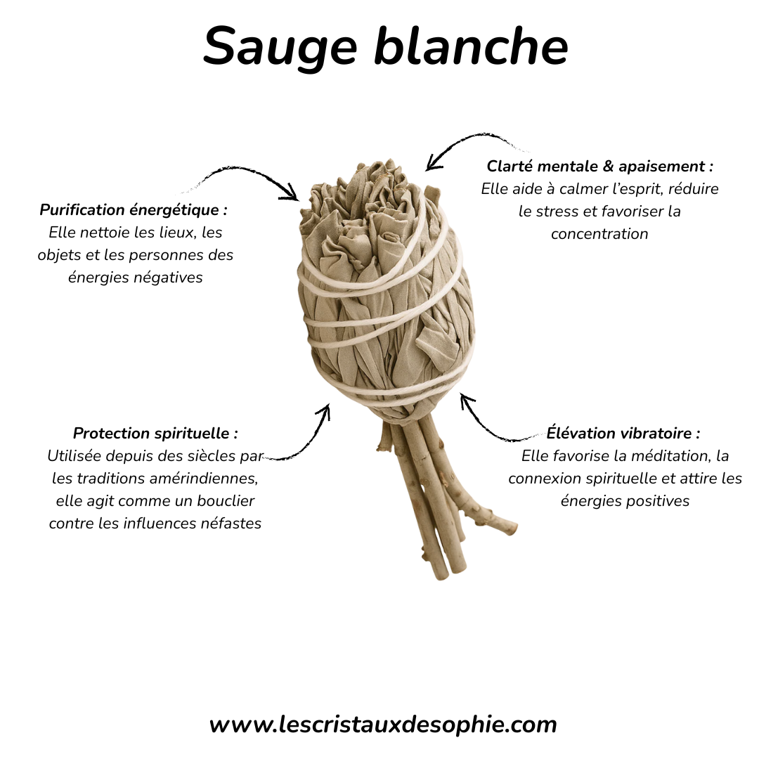 Duo Fleur de Vie & Sauge Blanche – Purification Énergétique & Rechargement des Pierres