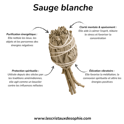 Duo Fleur de Vie & Sauge Blanche – Purification Énergétique & Rechargement des Pierres