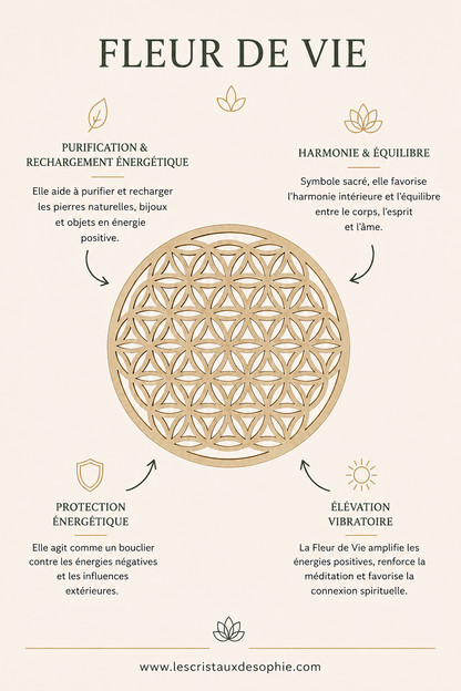 Duo Fleur de Vie & Palo Santo – Purification et Rechargement des Pierres